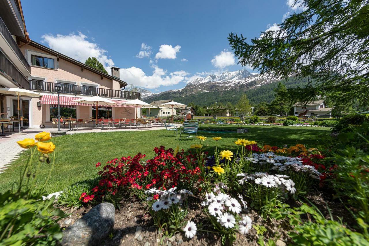 Hotel Chesa Randolina سيلس ماريا المظهر الخارجي الصورة